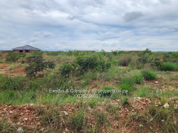 A stand for sale in Adelaide Park, Ruwa