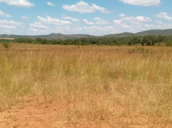 Farm & Agricultural Land