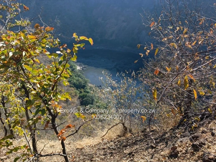 The Zambezi Gem — Where Nature Meets Prestige