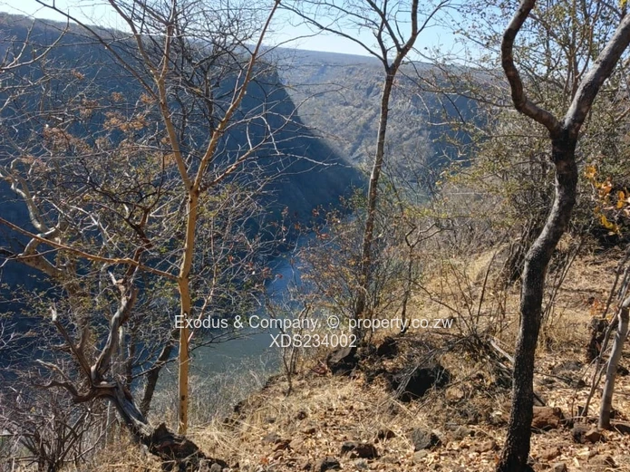 The Zambezi Gem — Where Nature Meets Prestige