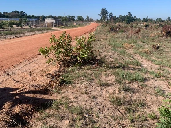 Land for Sale