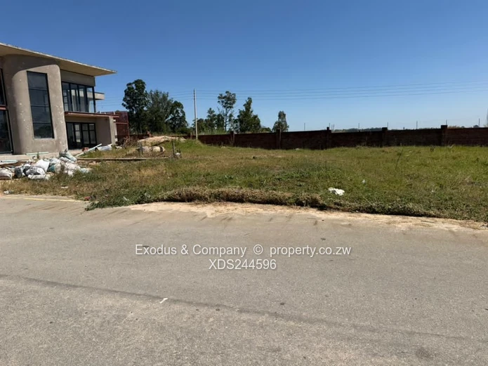 600m² Arlington Stand — Morden Living!