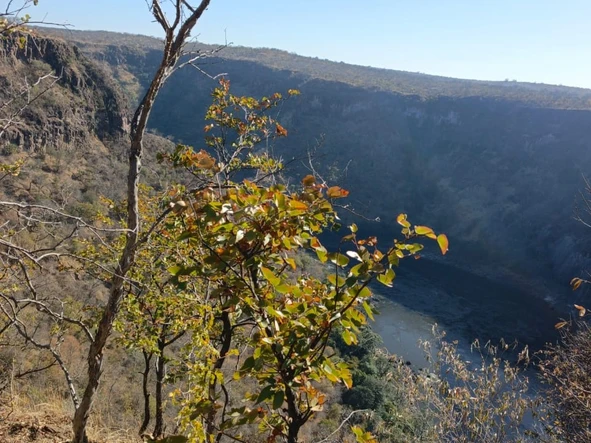 Commercial & Industrial Land