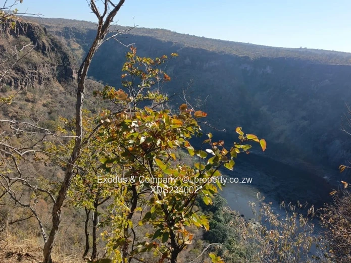 The Zambezi Gem — Where Nature Meets Prestige