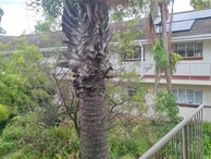 2 Bedroom Garden Flat