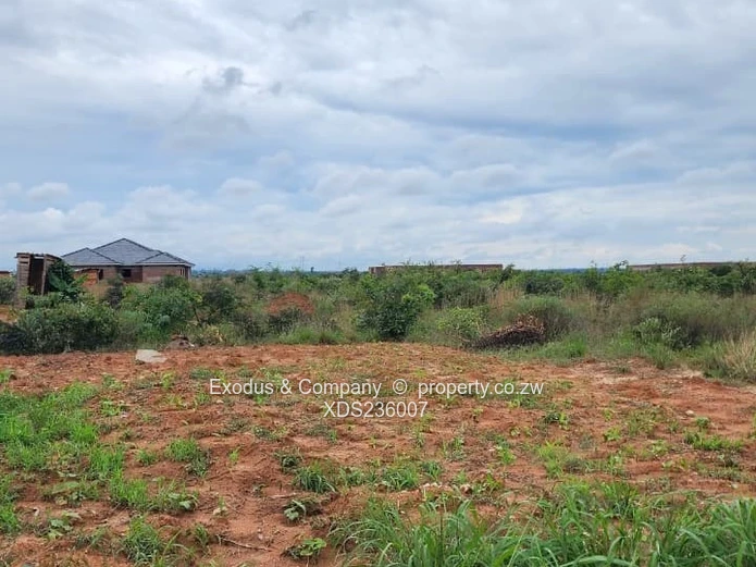 A stand for sale in Adelaide Park, Ruwa