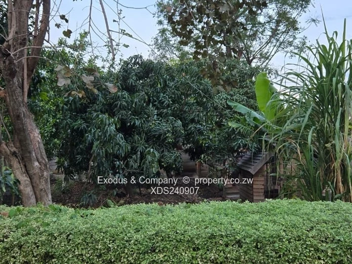 House to Let – Spacious, Walled & Gated