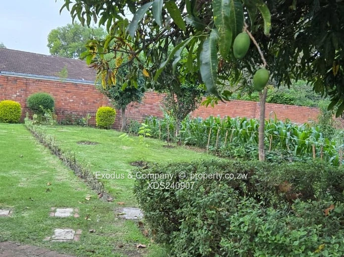 House to Let – Spacious, Walled & Gated