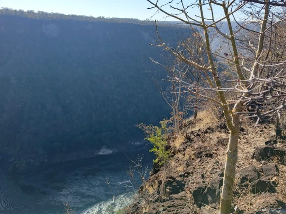 Commercial & Industrial Land