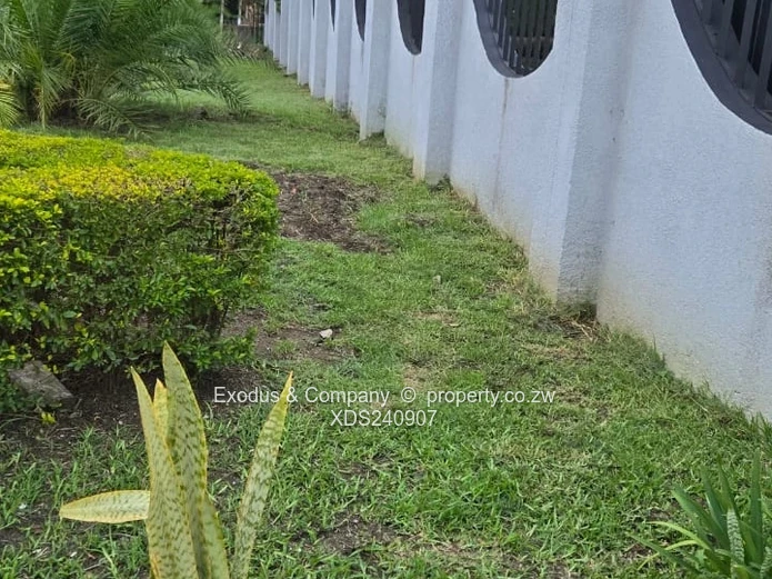 House to Let – Spacious, Walled & Gated