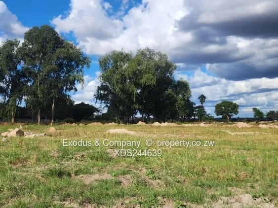 A stand for sale in Dunowen Estate, Hatfield 